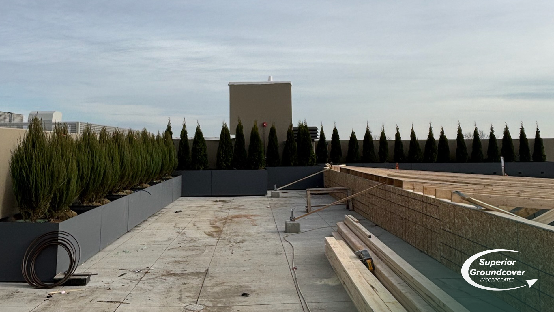 Saving in a green roof