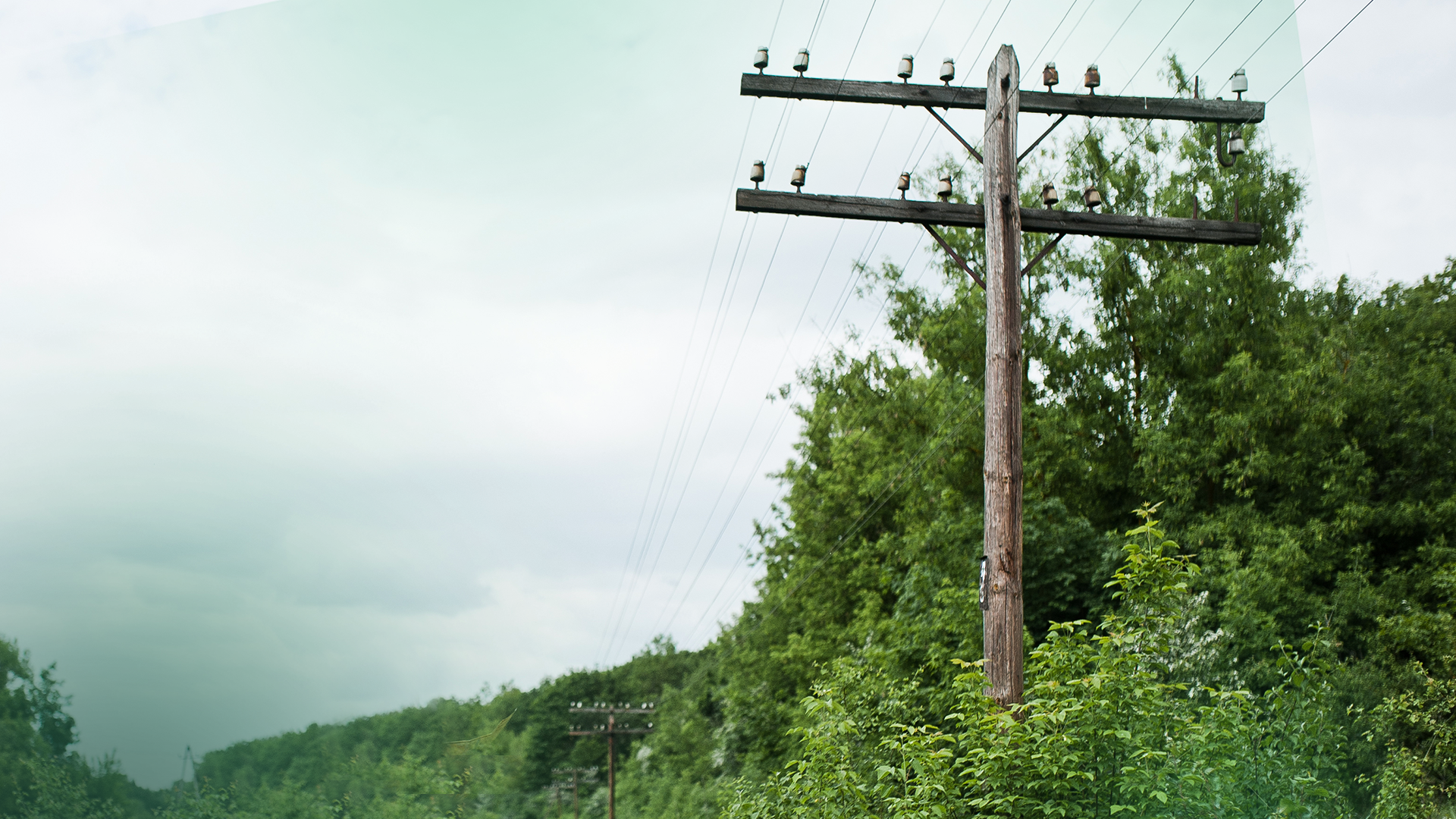 Best Ground Cover Material for Utility Work